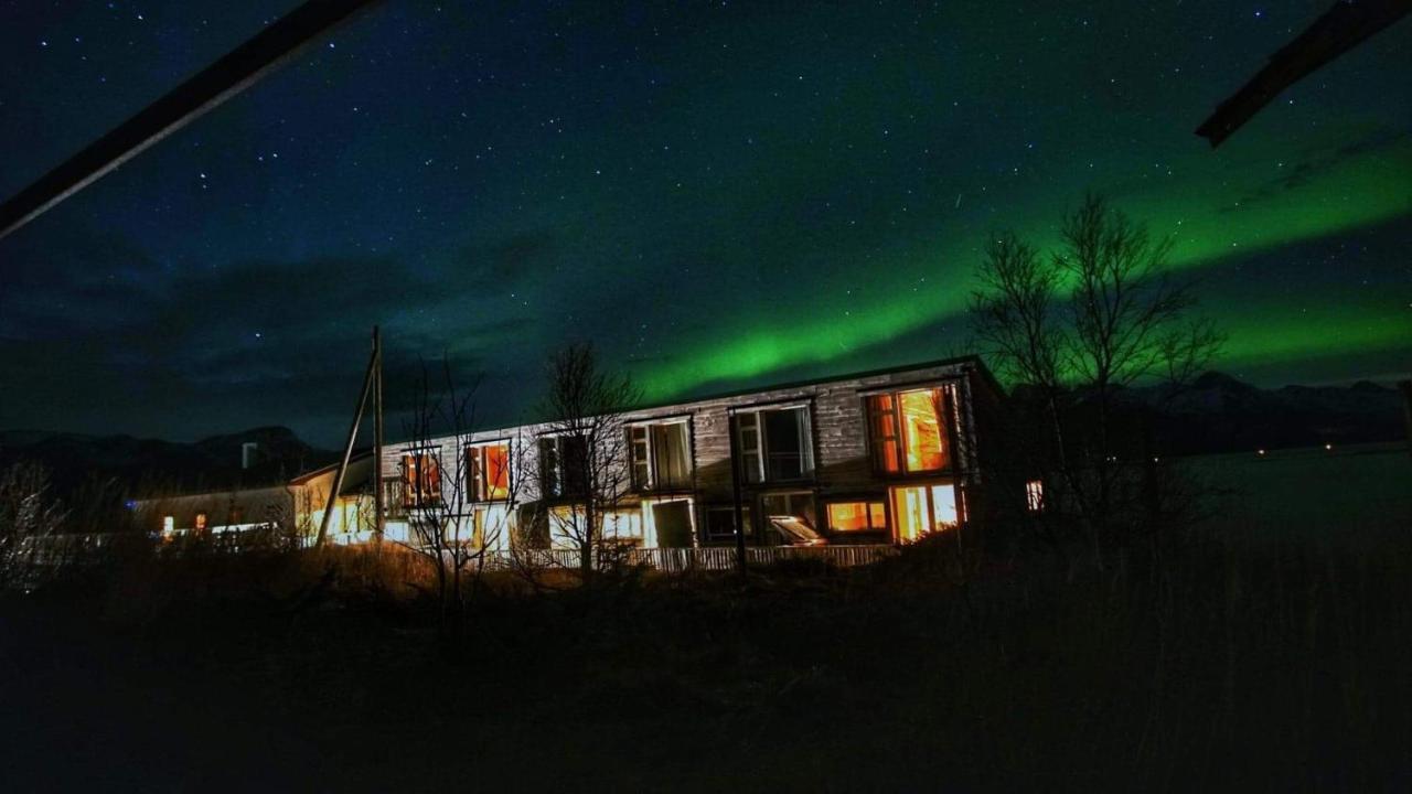 Bed and Breakfast Risvaer Brygger Digermulen Exteriér fotografie